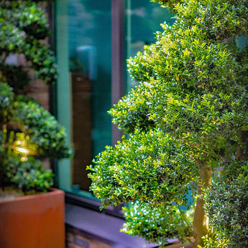 Docklands Split Level Courtyard Roof Terrace