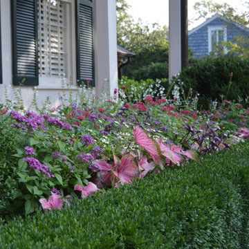 Spring Flowers