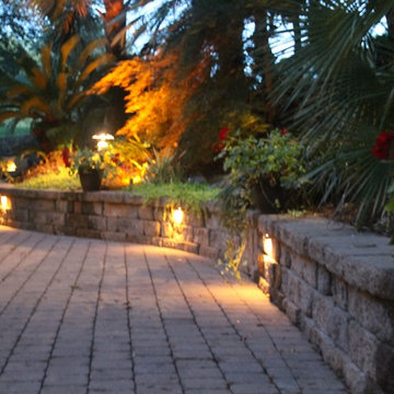 Tropical Backyard Oasis - waterfall and koi pond