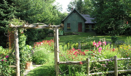 In zehn Schritten zum umweltfreundlichen Garten