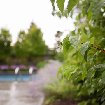 OUTDOOR OASIS