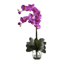 orchid