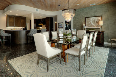 Inspiration for a contemporary dining room remodel in Tampa