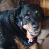 Barbara Snider's photo