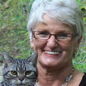 Dianne Sullivan's photo