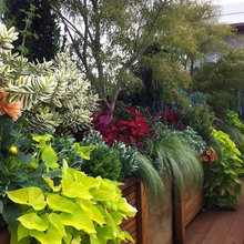 Veritical plant wall
