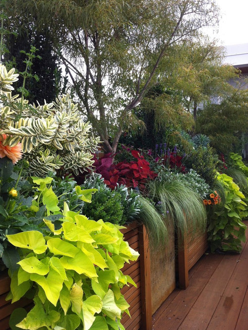 Kits Point Penthouse 2013