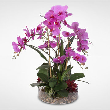 Purple Phalaenopsis Orchid with Succulents and Natural Rocks in Glass Pot
