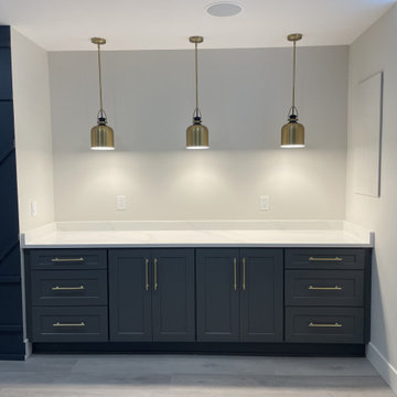 Modern basement Remodel