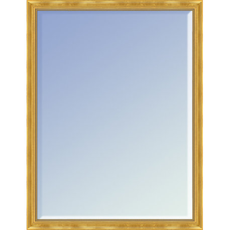 La Pastiche Milan Gold Framed Mirror, 20" x 30"
