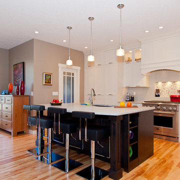 Contemporary Kitchen & Main Floor Renovation