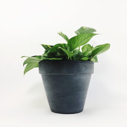 10" Classic Concrete Pot / Dark Gray - Indoor Pots And Planters