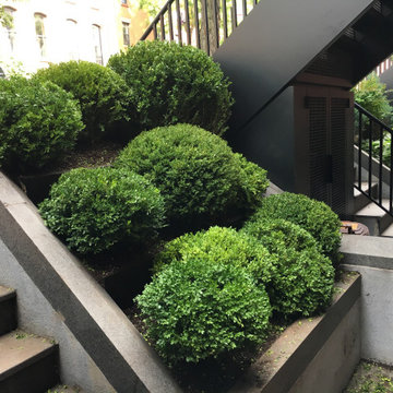 Front garden fun