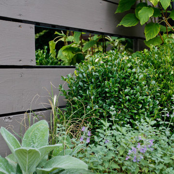 Rooftop Garden III