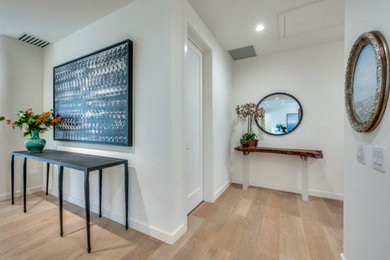 Hallway - contemporary hallway idea in Dallas
