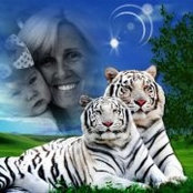 Sheila Funkhouser Foster's photo