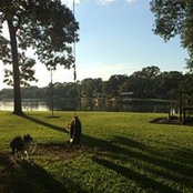 Foto von Cheryl Daniel
