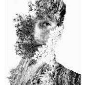 Simon Velazquez's photo