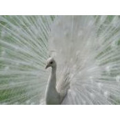 Amy Roesner-Ramsey's photo
