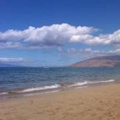 Joyce Cyr's photo