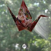 Robin Madden's photo