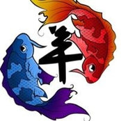 Koi Pescado's photo