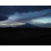 Kathy Bevan's photo