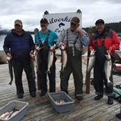 Mike Brown's photo
