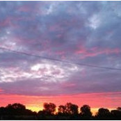 Chris Budzinski's photo
