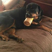 Foto von Capone Smallwood-Jackson