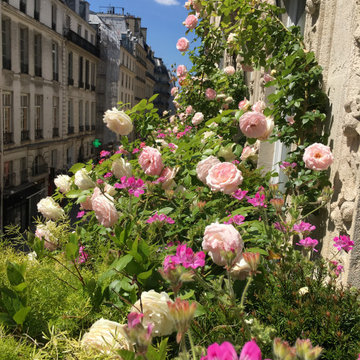 Terrasse RF paris