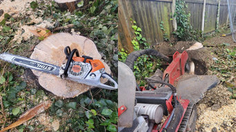 Tree Surgery and Ground Clearance Sheffield