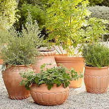 pots