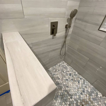 Guest & Master Bathroom Remodeling