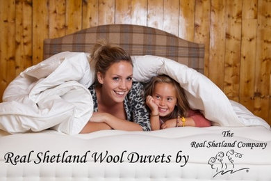 Real Shetland Wool Duvets/Comforters