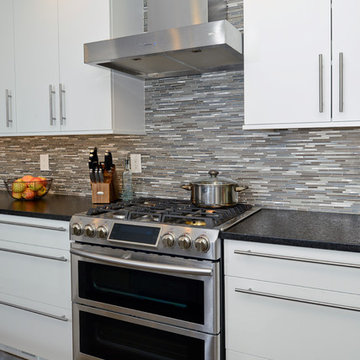 RESTON, VIRGINIA--MODERN/CONTEMPORARY KITCHEN REMODEL