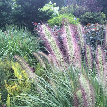 Meadow Planting, Westport CT
