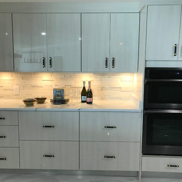 Contempo KItchen Remodel