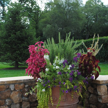 Peggy and Dave's Garden Design