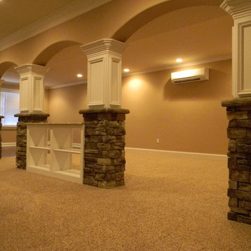 Basement Remodel