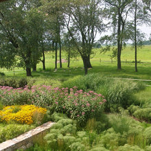 yard