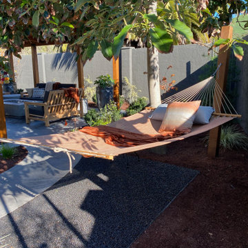 Hammock Under the Avocado