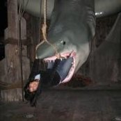 Foto von Shannon Venegas Hewitt