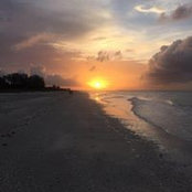 Diane Bartlett's photo