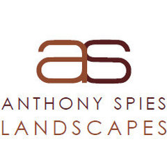 Anthony Spies landscapes