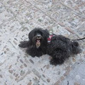 Anja Dudium's photo