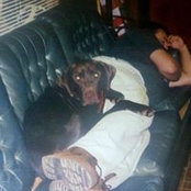 Lee Carpenter's photo