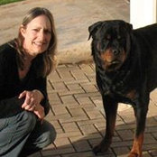 Foto von Melody Viljoen