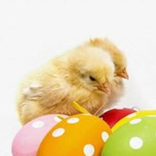 Tove Kaasgaard's photo