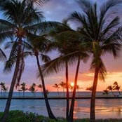 Trudi Wiley's photo